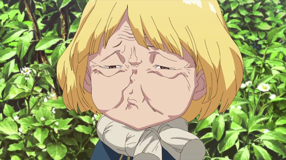 814564a12157368e9dd115b9d1614776 - Dr. Stone Shop